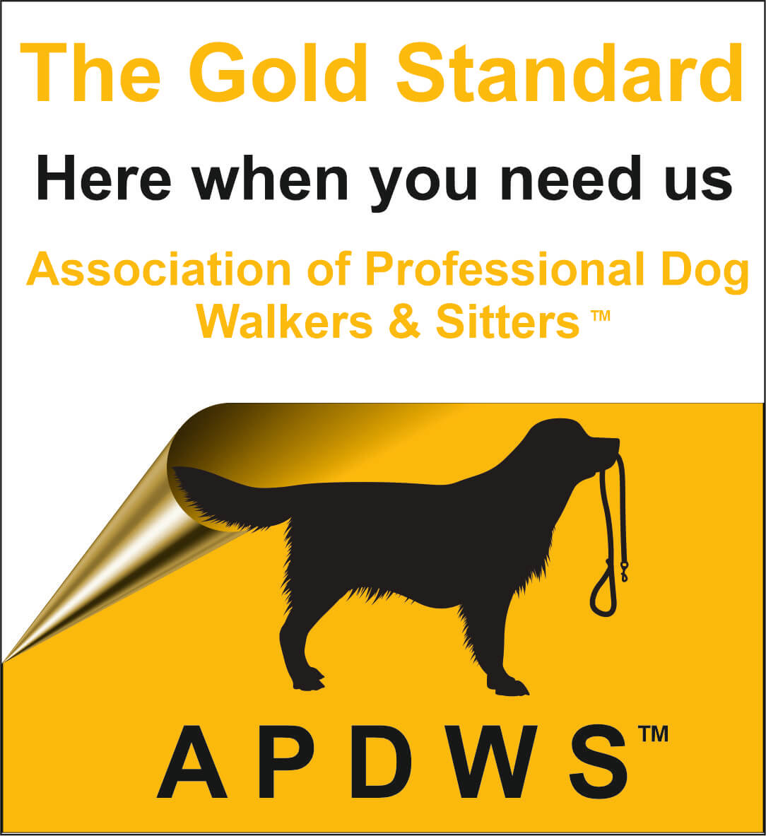 apdws the gold standard image